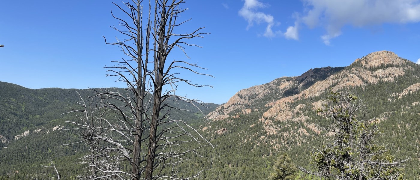 Trail Stewardship: Gray Back Peak Day 1