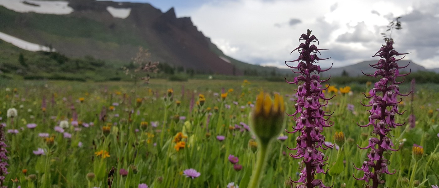 Gore Range