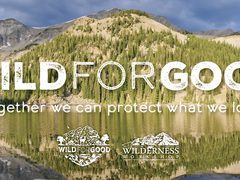Learn About Wild For Good Campaign