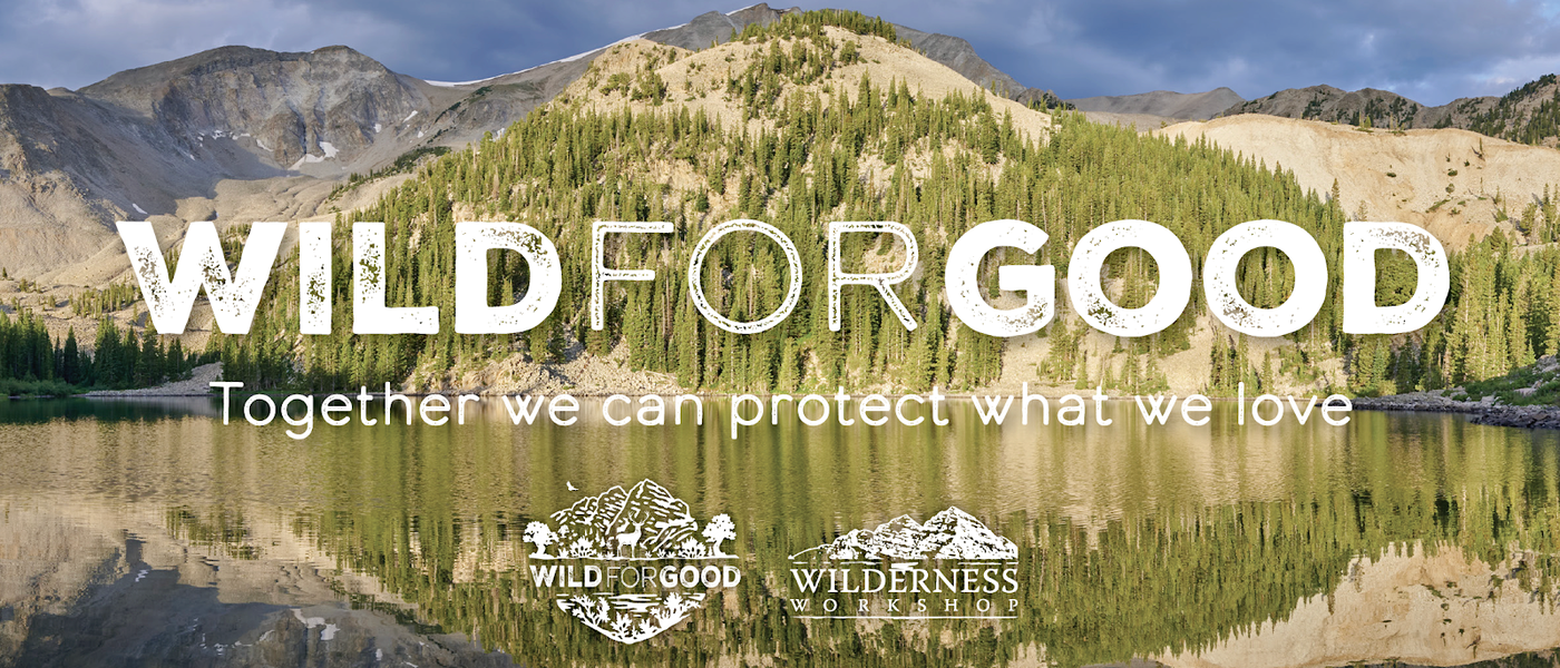 Learn About Wild For Good Campaign