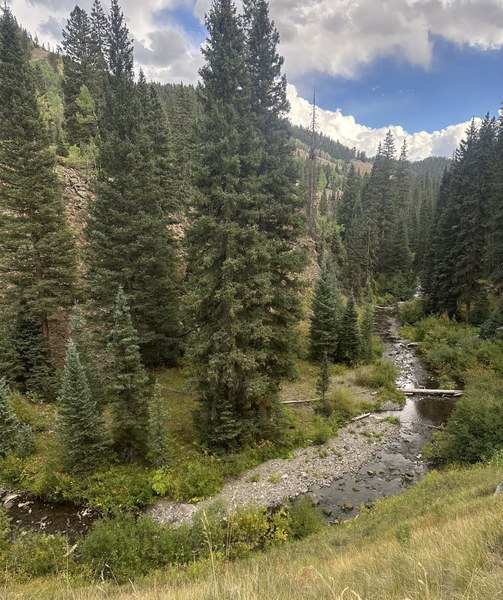 IMG_1479.jpeg IMG_1479.jpeg