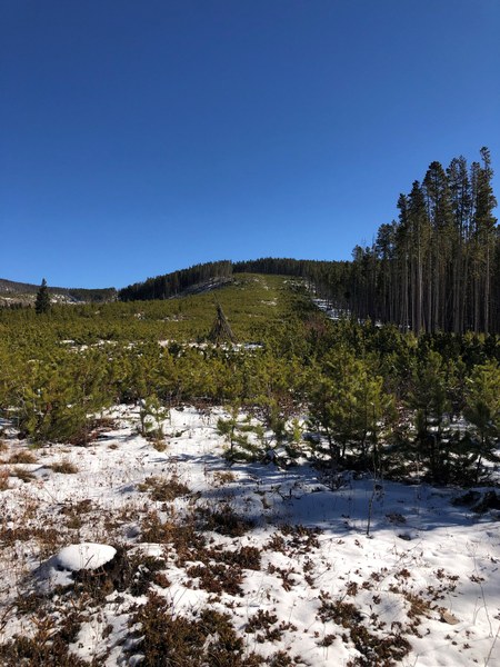 Rendezvous- borders looking East uphill.jpg