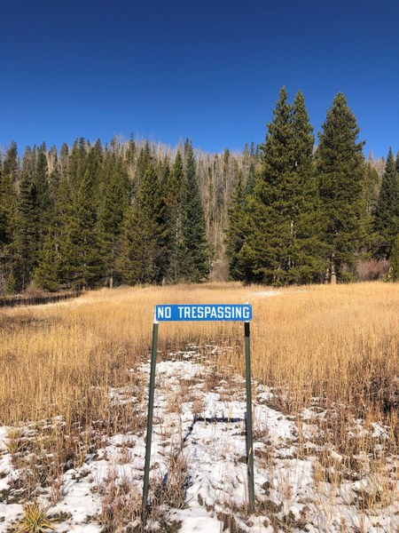 Rendezvous- borders looking North from main road.jpg