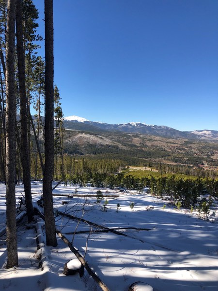 Rendezvous- view from top looking West.jpg