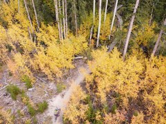 September 2026 Featured Colorado Mountain Club Events