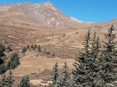 Updates from the 2026 CMC Member-Led Trail Crew