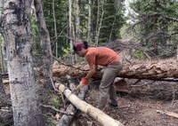 USFS Staffing Shortages and the Impact on Colorado's Outdoor Spaces