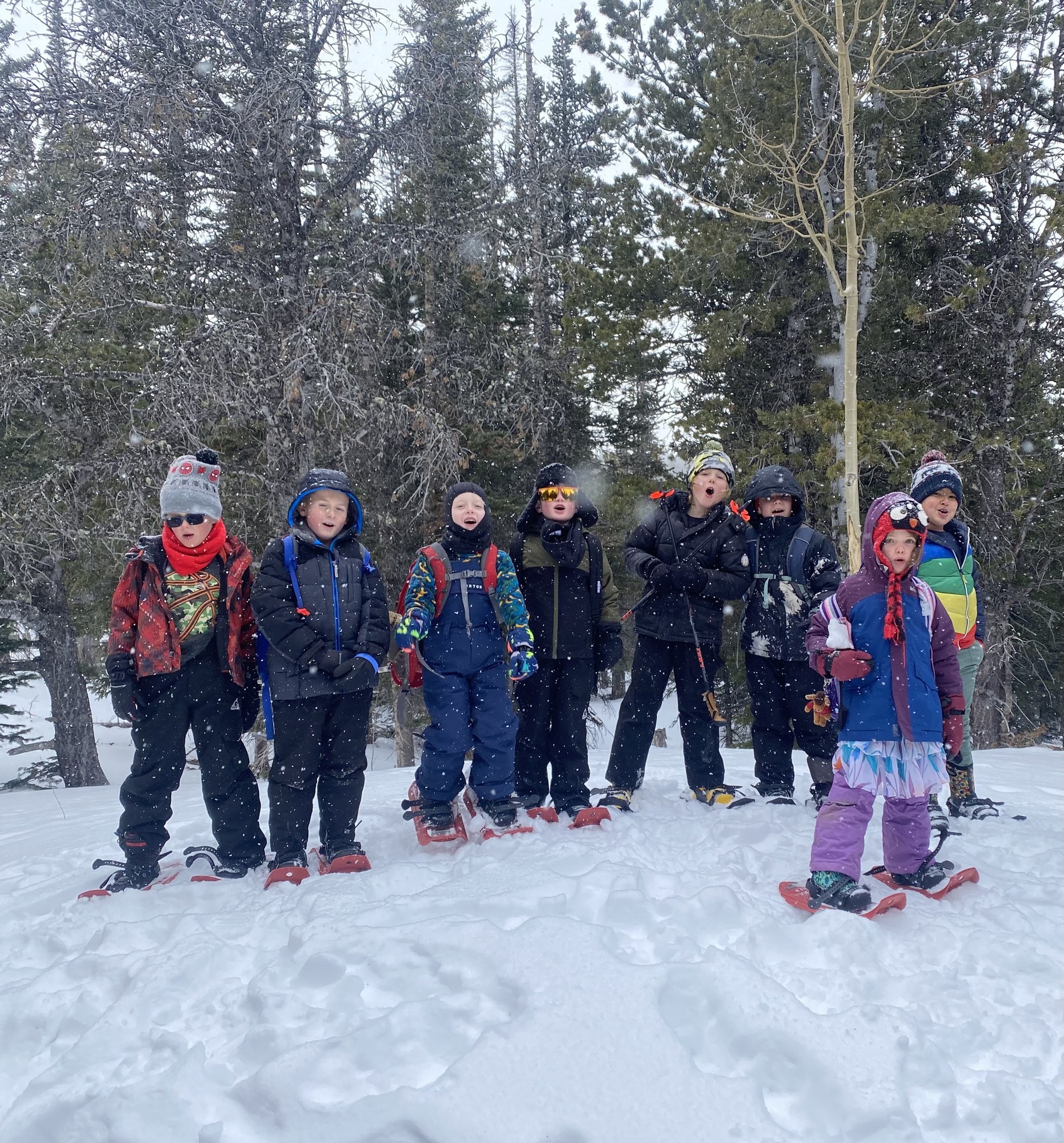 Winter Camps — The Colorado Mountain Club
