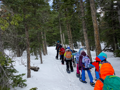 Winter Camp: Day Expeditions - Snowshoeing - 2025-26 (4-6)