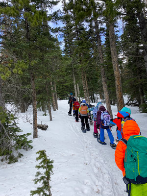 Winter Camp: Day Expeditions - Snowshoeing - 2025-26 (4-6)