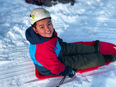 Winter Camp: Day Expeditions - Sledding & Winter Ecology - 2025-26 (1-3)